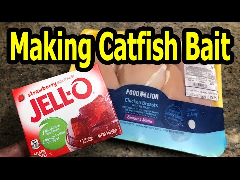 How to Make Strawberry Jello Chicken Catfish Bait at Home