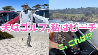 夫は名門ゴルフ場へ⛳️、 私とレックスは海辺へ🏖️、モントレーの1泊旅行Vlog