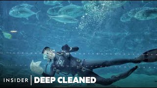 Deep Cleaning One Of The Worlds Biggest Aquariums 