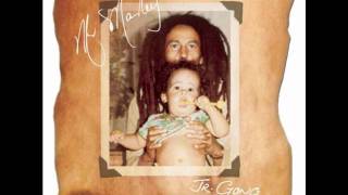 Damian Marley - Kingston 12