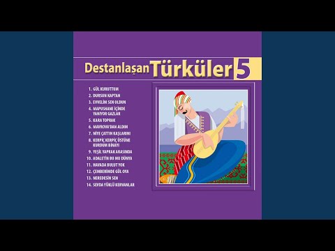 Video Yükleniyor...