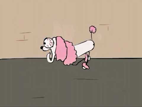 POŚCIG  ZA PUDELKIEM - Who is the winner?