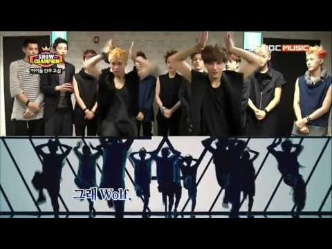 130612 Show Champion - EXO "Teaching Time" Dance Cut