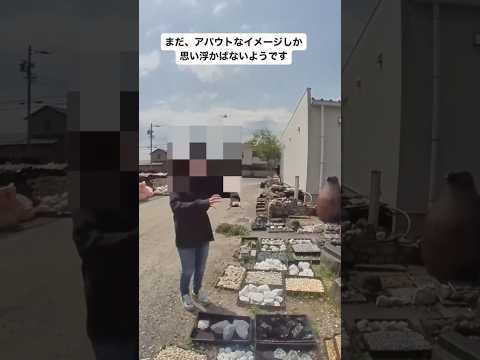 aménagement-jardin-de-rocaille-banc-pierre-coussine-revetement-sol-pierre