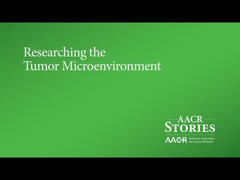 How the Tumor Microenvironment Supports or Stifles Cancer Growth