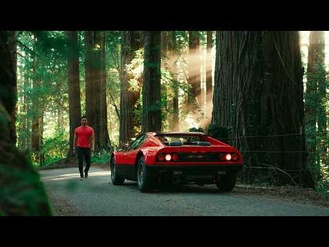 Ferrari 365 GT4 BB Through the Redwoods: Forest Run