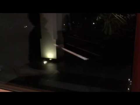 Vaibhav Pewal Youtube Video