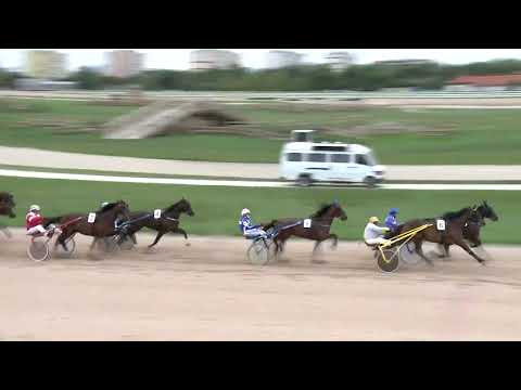 2022.09.17. 07. futam - MOLNÁR DÍJ