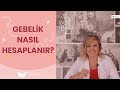 Gebelik Haftası Nasıl Hesaplanır? - Elika Hamile