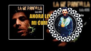 Ahora Llega Mi Cumbia Lyrics English Translation