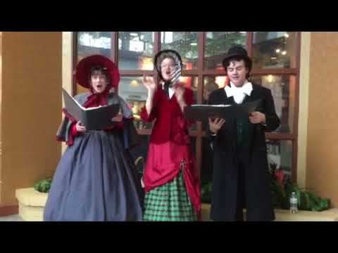 Promotional video thumbnail 4 for Stephanie Phelan