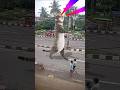 Iust Cat Fun Dance Viralvideo Cartoon Funny Comedy Viralvido Dance Comedycarton Cartton Automobile
