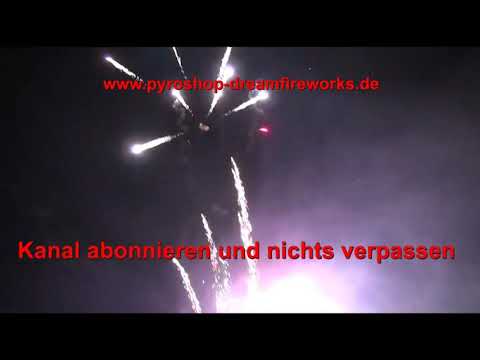 Cakebox 16Sh 30mm - Tropenpalmen - Dreamfireworks