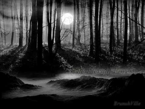 Emotional Dark Music - The Eternal Forest