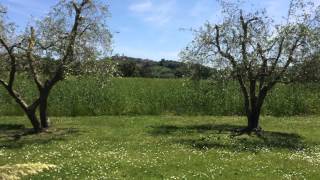 preview picture of video 'Circondato dalla Natura di Maremma'