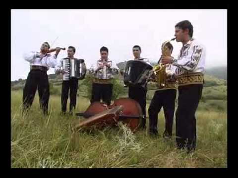 Formatia Rapsodia din  Arad  - Colaj Instrumental