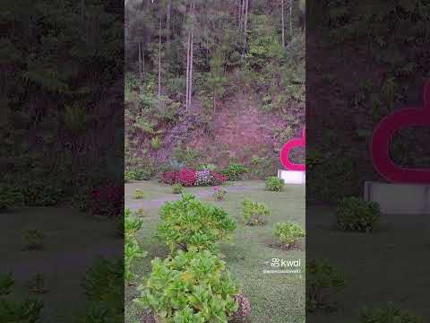 PRIMAVERA, LINDO JARDIM TAPIRAI , INTERIOR S, PAULO .#modafeminina #MODAlfaitaria .
