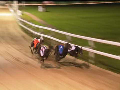 2017 BGBF OAKS FINAL - T3 BURNFOOT DOLLY