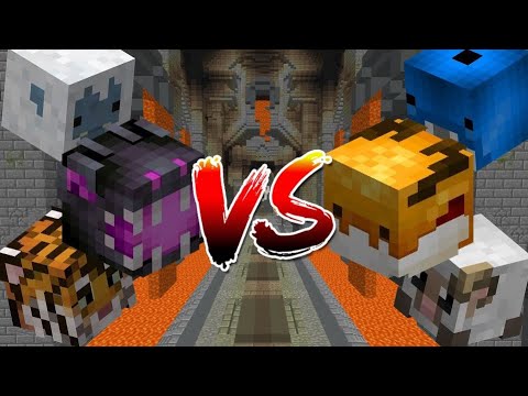 The Best Pet for Each Dungeon Class (Hypixel Skyblock)