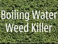 Boiling Water Weed Killer 