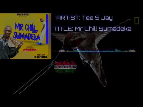 TEE S JAY - MR CHILL SUMADEKA (Official audio)... gambian music