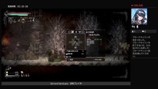 Salt and Sanctuary初見プレイする。#5