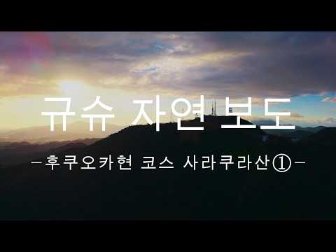 규슈 자연보도 후쿠오카현 사라쿠라산 코스①