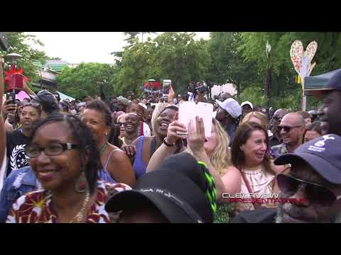 Janet Kay - Party In The Park - Mini Concert