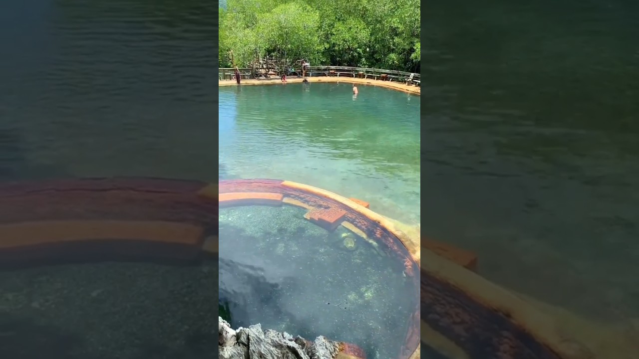 YouTube Short thumbnail