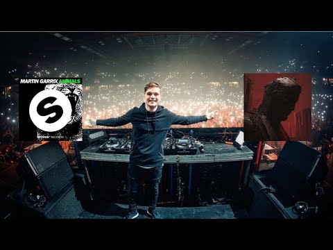 Martin Garrix vs. Alesso & Sick Individuals, Sentinel - Animals X Upside Down (Martin Garrix Mashup)