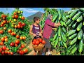 Harvesting Organic Vegetables And Cooking Traditional Azerbaijani Dish Of Dolma