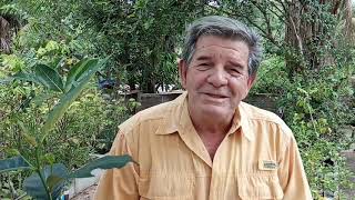 Mini Jaca apresentada pelo Farias