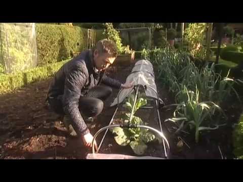 Harrod Horticultural Slot & Lock® Garden Cloche System