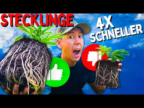 Shocking - tried everything! 😱 This method produces MONSTER cuttings!