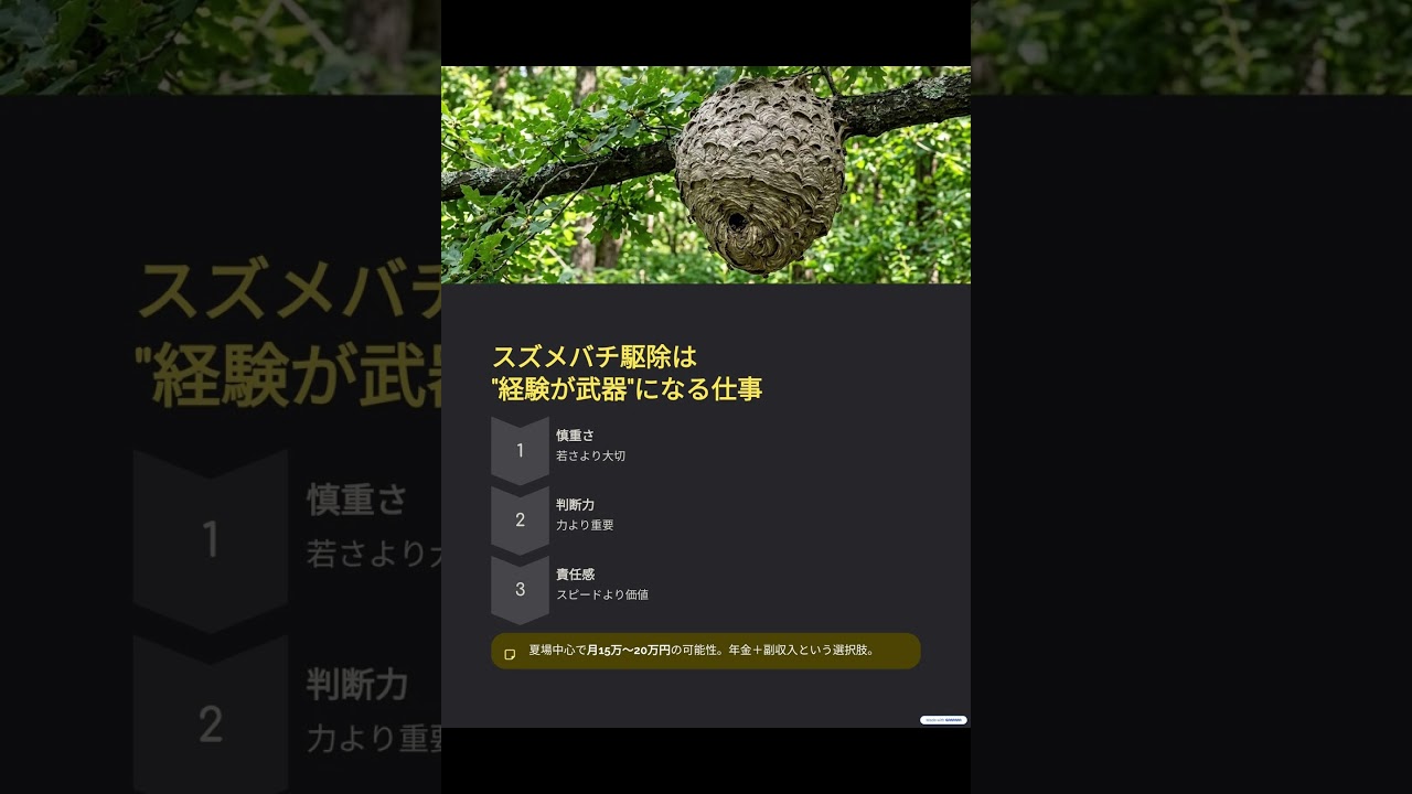 スズメバチハンターになろう！無料説明会▶ https://suzumebachi-hunter-3g02g0t.gamma.site/
