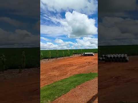 Fazenda de soja em Jataí Goiás