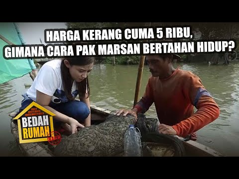 HOUSE REVIEW EPISODE 95 - Clams Cost Only 5 Thousand Rupiah, How Does Mr. Marsan Survive?!