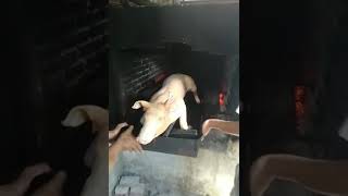 preview picture of video 'Babi Putar... Crispy Roast Pig'