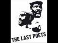 The Last Poets - Un-Holy Alliance.wmv