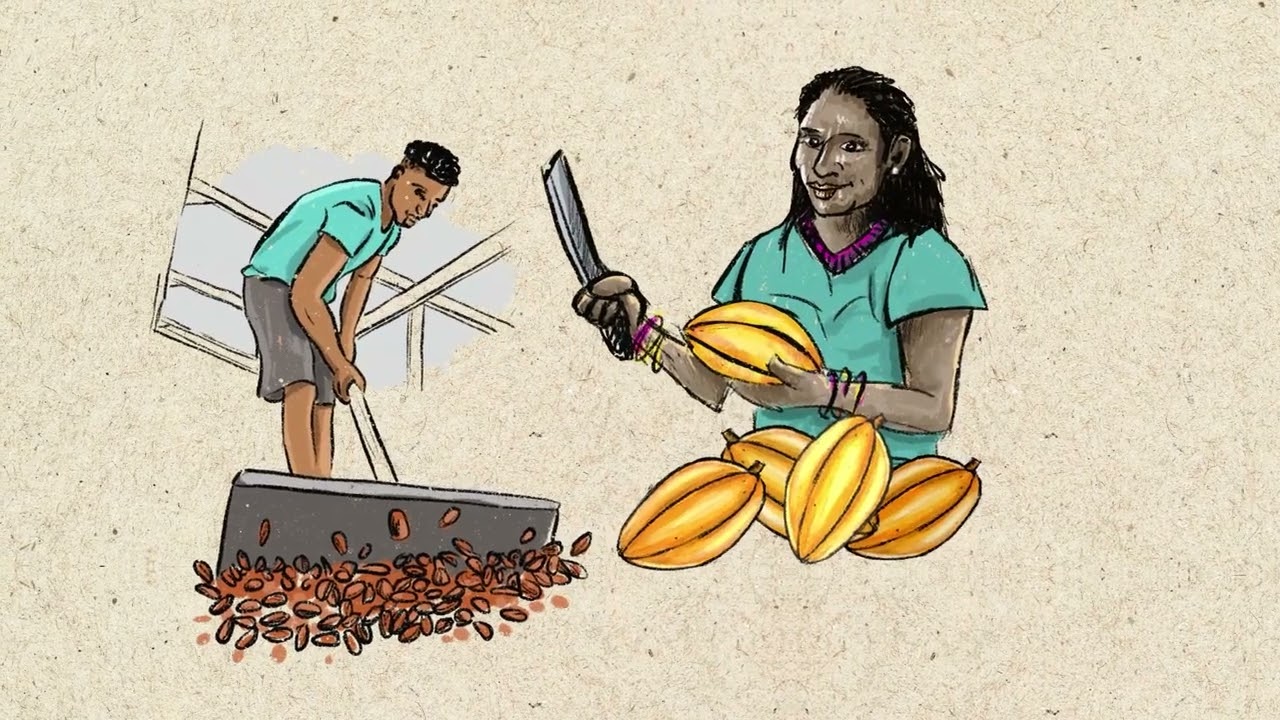 O Pará e Seu Potencial Produtivo Sustentável | Amazônia Sustentável e Produtiva