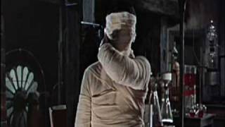 The Curse of Frankenstein Music Video (Danny Elfman)