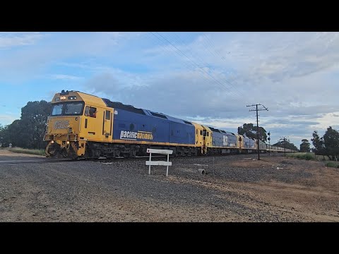 7731V PN down empty grainy (G, BL, BL, G, 40H), Geelong to Murtoa, 1905, 14/11/25, Lubeck VIC 
