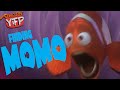 YTP Finding MOMO