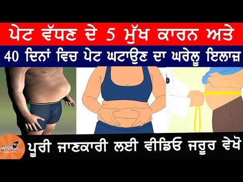 download lagu mp3 mp4 Fat In Punjabi, download lagu Fat In Punjabi gratis, unduh video klip Fat In Punjabi