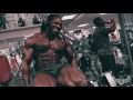 Ulisses Jr - LEG GAINS