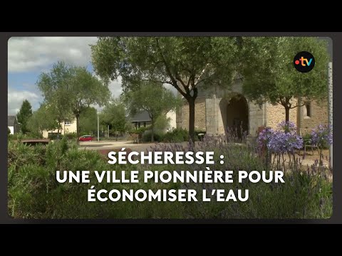 Pas assez d'eau en été, trop d'eau en hiver : la ville de Plescop, à la pointe des économies d'eau.