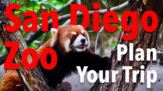 San Diego Zoo Tips! PLAN YOUR PERFECT VISIT.