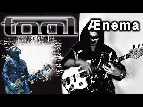 TOOL - Ænema (Bass Cover | Tribute & Fun #15)