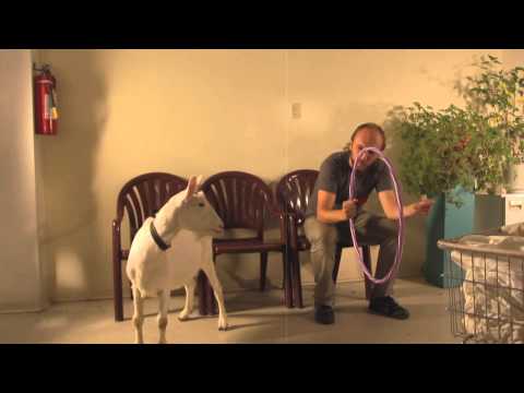 download lagu mp3 mp4 Diapason Mag, download mp3 Diapason Mag free downloadn, video klip Diapason Mag