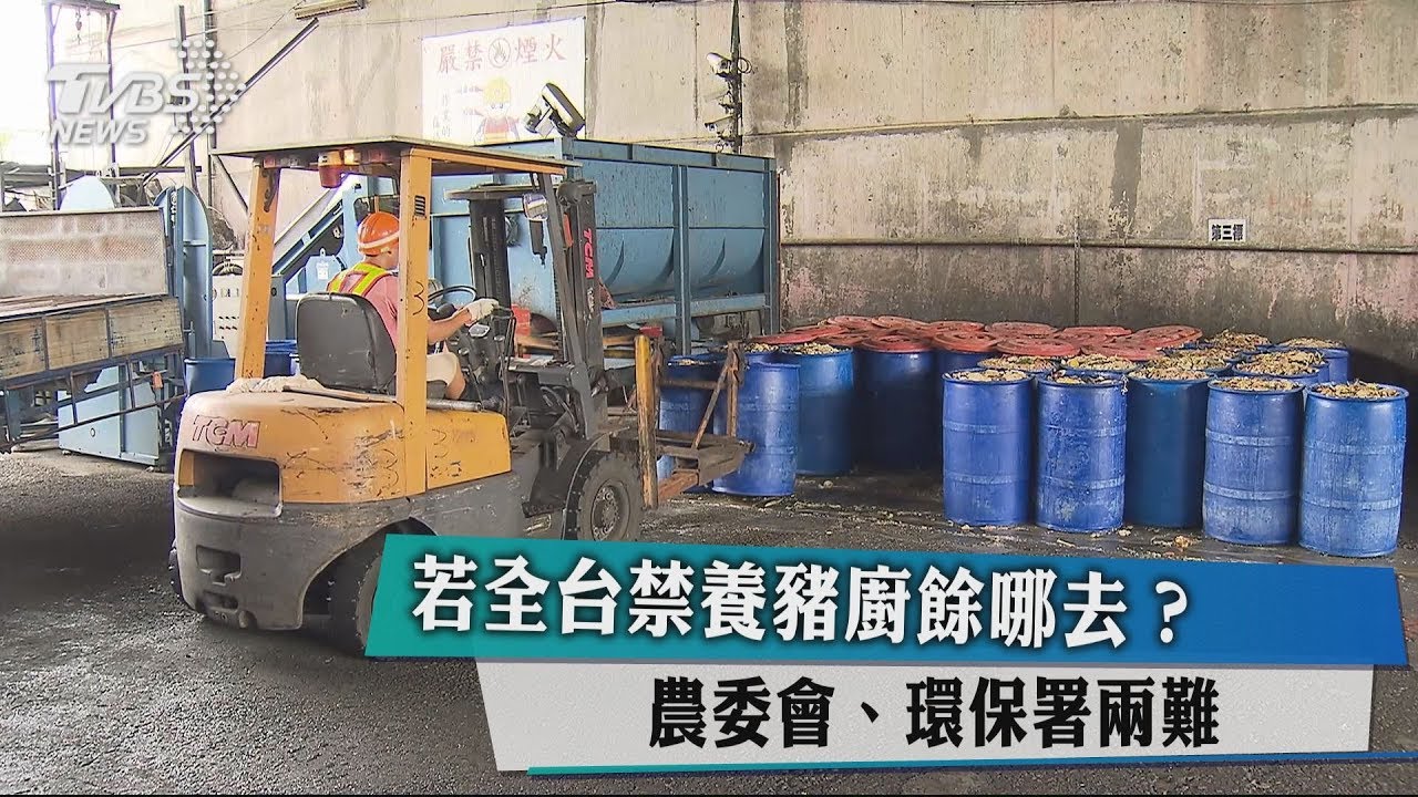 若全台禁養豬廚餘哪去? 農委會、環保署兩難